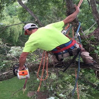Timberland Tree Service - Tree Services Near Me - Broadview Heights, Ohio Timberland Tree Service - Tree Services Near Me - Broadview Heights, Ohio