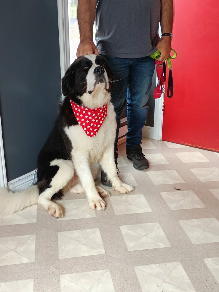 MAGIC MONTE’S Updated October 2024 233 Industrial Avenue, Truro