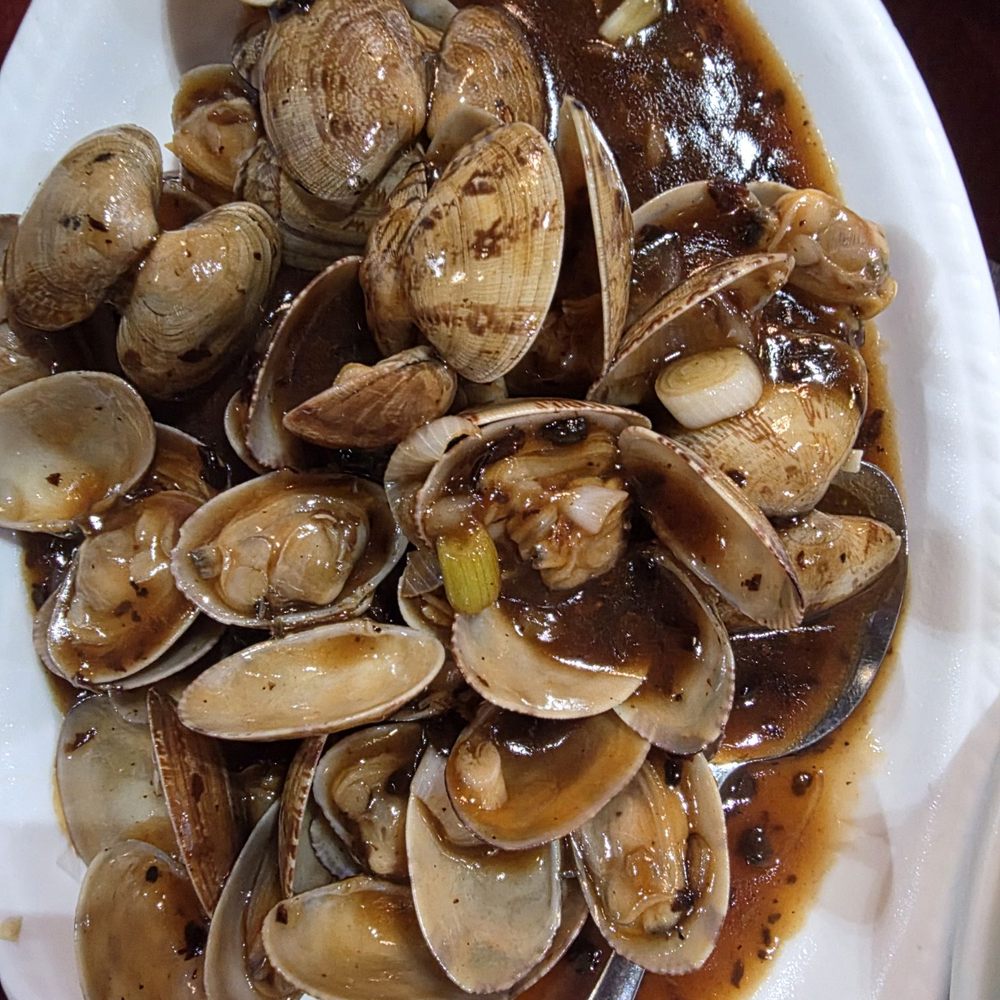 GuangDong Taste - Clams - Cantonese Near Me - Virginia Beach, Virginia GuangDong Taste - Clams - Cantonese Near Me - Virginia Beach, Virginia