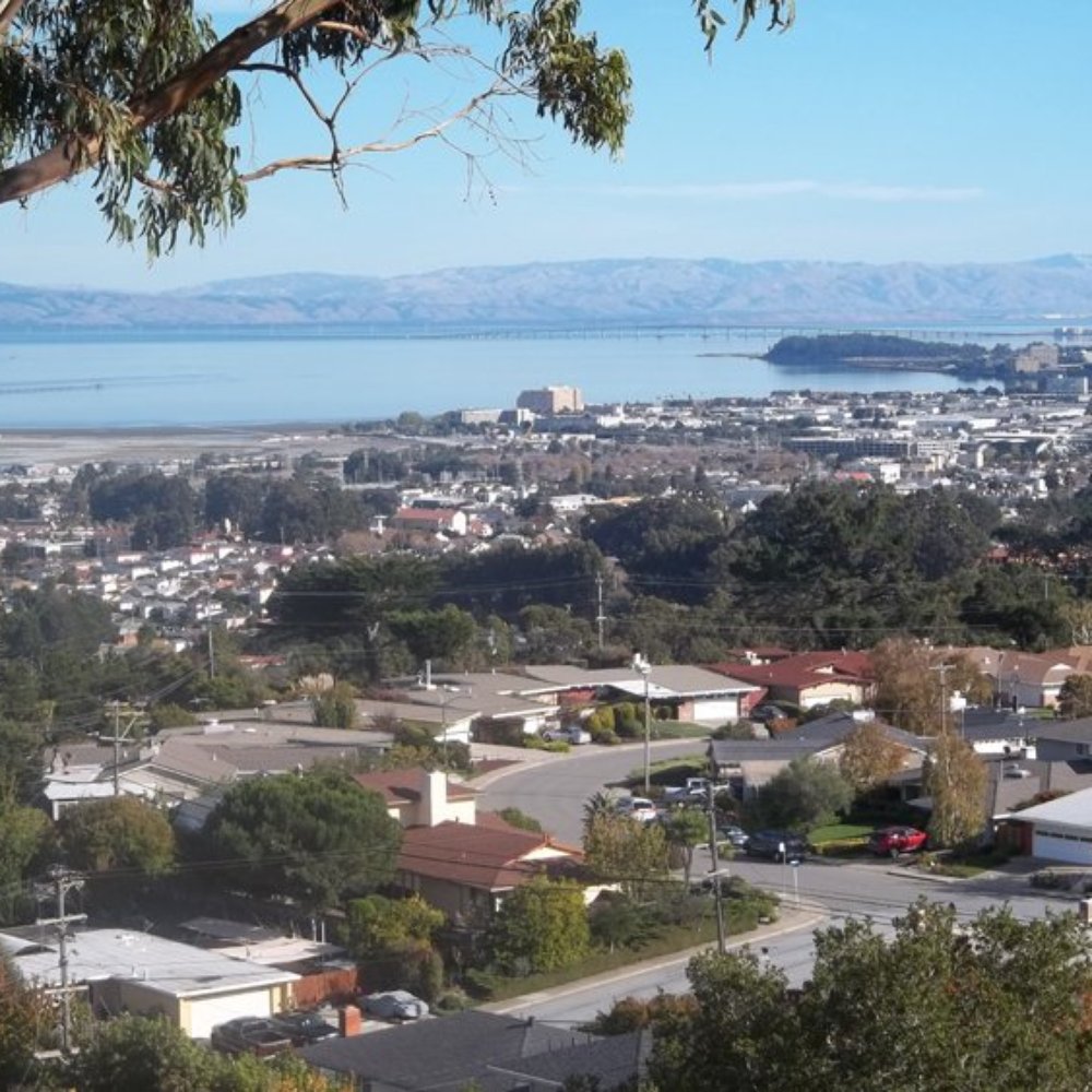 Junipero Serra Park - View from the top far side of the park - Parks Near Me - San Bruno, California Junipero Serra Park - View from the top far side of the park - Parks Near Me - San Bruno, California