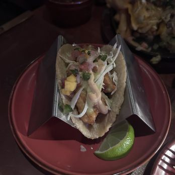 Gato Exotico - Fish taco - Mexican Near Me - Cambridge, Massachusetts Gato Exotico - Fish taco - Mexican Near Me - Cambridge, Massachusetts