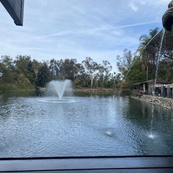 Anthony's Fish Grotto - View from our table - Seafood Near Me - La Mesa, California Anthony's Fish Grotto - View from our table - Seafood Near Me - La Mesa, California