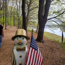 Steedman Woods