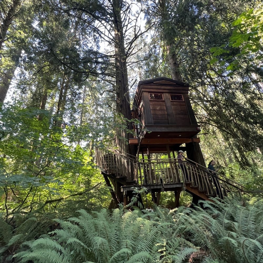 TreeHouse Point - Bed & Breakfast Near Me - Issaquah, Washington TreeHouse Point - Bed & Breakfast Near Me - Issaquah, Washington