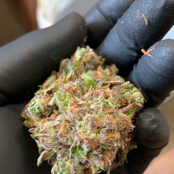 Hightops Dispensary - Powers - Cannabis Dispensaries Near Me - Colorado Springs, Colorado Hightops Dispensary - Powers - Cannabis Dispensaries Near Me - Colorado Springs, Colorado