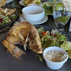 Isla Contoy - Fresh whole fish (Pescado entero Freco)