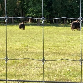 Large Animal Research Station - Colleges & Universities Near Me - Fairbanks, Alaska Large Animal Research Station - Colleges & Universities Near Me - Fairbanks, Alaska