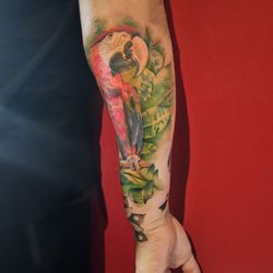 American Ink Tattoo Studio - My Macaw Kiwi