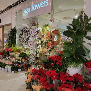 Dom Mody Klif - Shopping Centers Near Me - Warsaw, MZ Dom Mody Klif - Shopping Centers Near Me - Warsaw, MZ