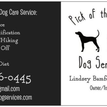Pick of the Litter - Pet Training Near Me Pick of the Litter - Pet Training Near Me