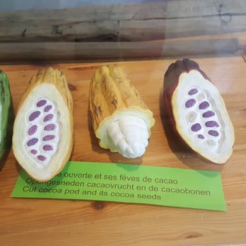 Choco Story - Museums Near Me - Brussels, BRU Choco Story - Museums Near Me - Brussels, BRU