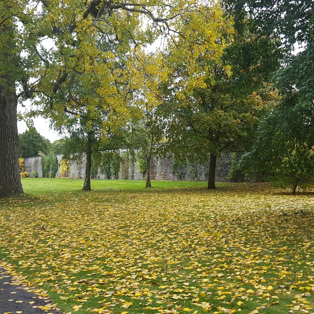 National Botanic Gardens - Parks Near Me - Glasnevin, D