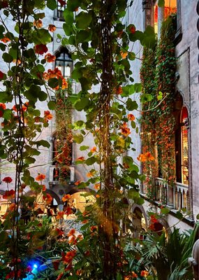 Isabella Stewart Gardner Museum by null