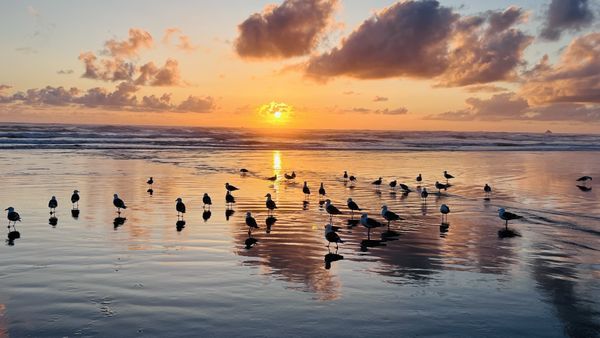 Inn at Haystack Rock