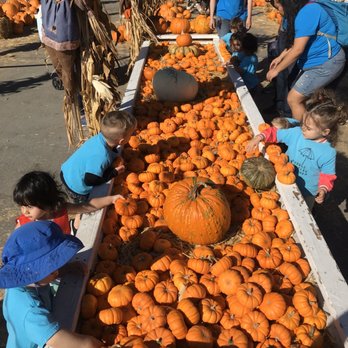 Puddle Jumpers Workshop - Yearly pumpkin patch visit. - Preschools Near Me - San Francisco, California Puddle Jumpers Workshop - Yearly pumpkin patch visit. - Preschools Near Me - San Francisco, California