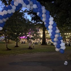 Ross Commons Park - Ross Town Dinner