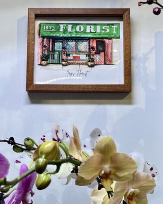 Irys Florist
