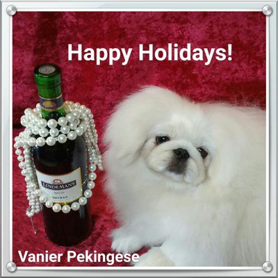 vanier pekingese