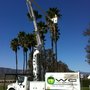 Photo of WC Tree Service