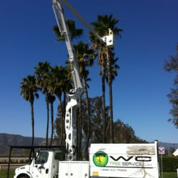 WC Tree Service
