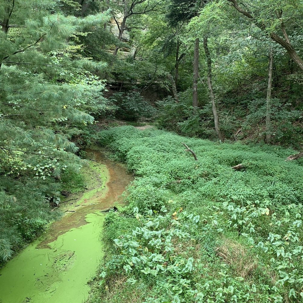 Starved Rock State Park - Near Wildcat Canyon - Parks Near Me - Utica, Illinois