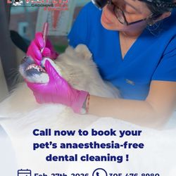 Lovely Pets Grooming Salon & Boutique - Call us to book!