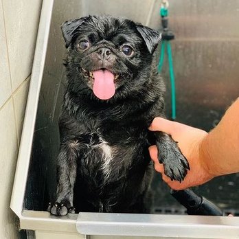 Pet Supplies Plus - Tulsa - Pet Stores Near Me - Tulsa, Oklahoma Pet Supplies Plus - Tulsa - Pet Stores Near Me - Tulsa, Oklahoma