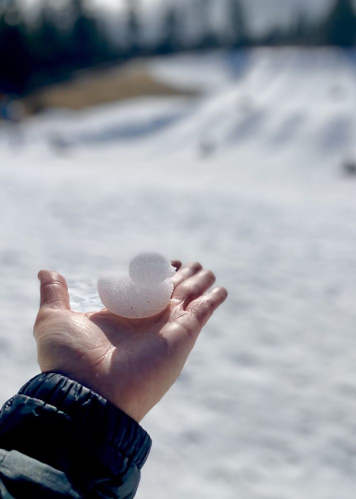 BIG BEAR SNOW PLAY Updated October 2024 338 Photos & 646 Reviews