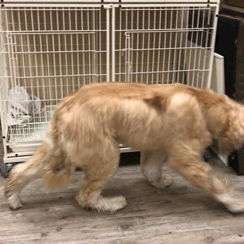 Pet Town - Pet Stores Near Me - Belfair, Washington