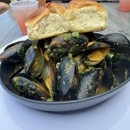 Oysters