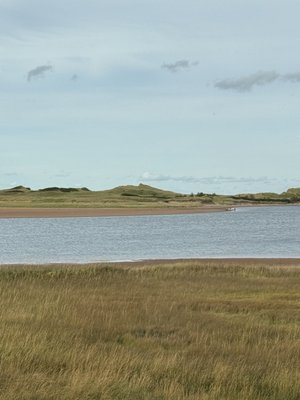 FiN Folk Food by null