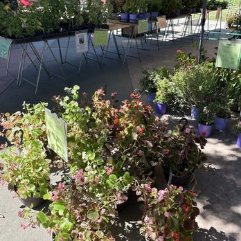 Davis Farmers Market - Farmers Market Near Me - Davis, California