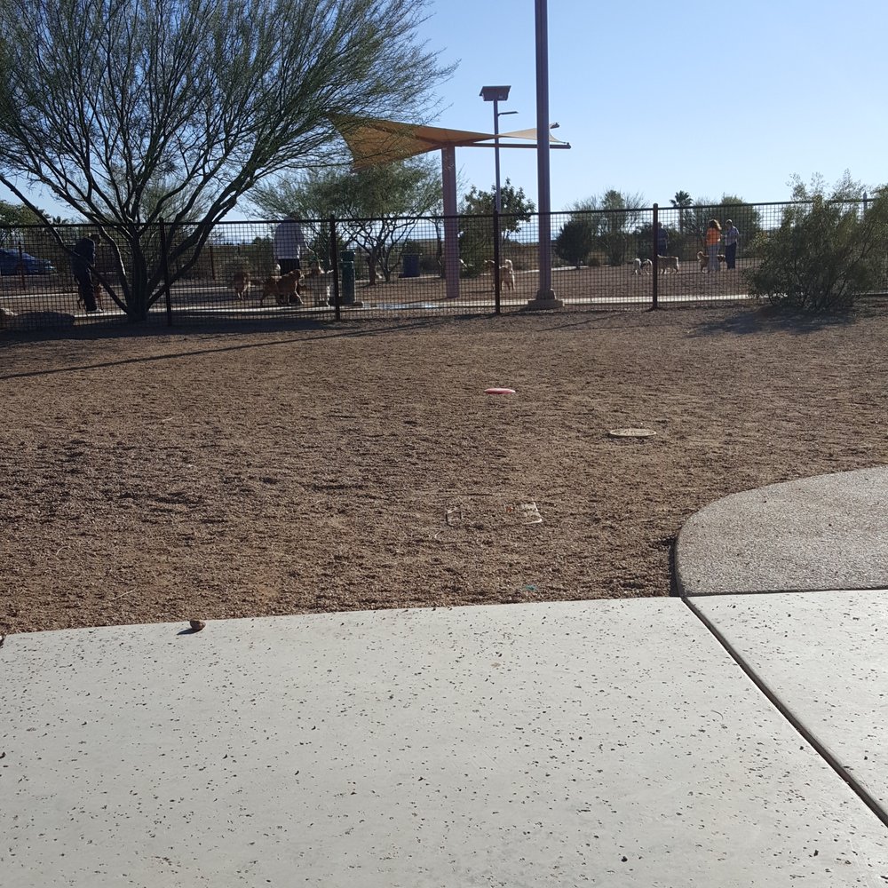 Purple Heart Park: Ivan's Spot - Dog Parks Near Me - Tucson, Arizona Purple Heart Park: Ivan's Spot - Dog Parks Near Me - Tucson, Arizona