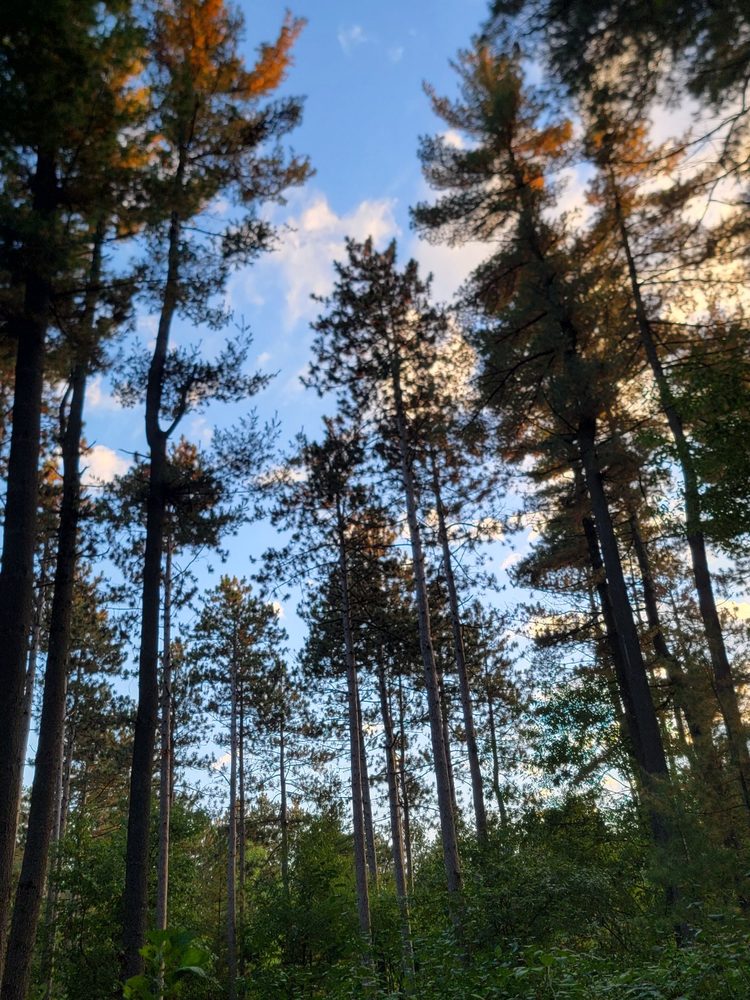 PINEWOODS CAMPGROUND Updated October 2024 W347 S4756 waterville Rd