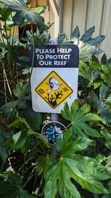 Crush's Coaster by null