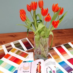 Imageraum - Farbe, Stil & Makeup Beratungen für Einzelne und Workshops für kleine Gruppen 2-3 TN