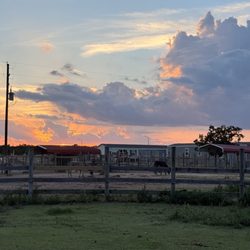 Smith Ranch - A gorgeous sunset