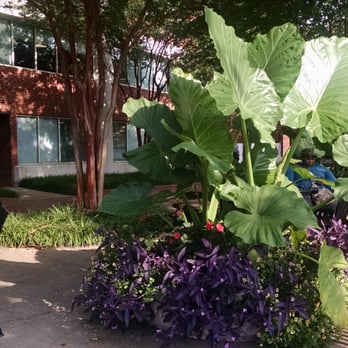 Falls Park - Beautifully landscaped. - Venues & Event Spaces Near Me - Greenville, South Carolina Falls Park - Beautifully landscaped. - Venues & Event Spaces Near Me - Greenville, South Carolina