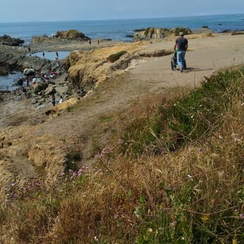Glass Beach - Beaches Near Me