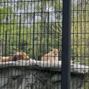 Blank Park Zoo - Zoos Near Me - Des Moines, Iowa Blank Park Zoo - Zoos Near Me - Des Moines, Iowa