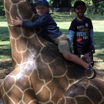 Honolulu Zoo - Benny and Ricky climbing the huge giraffe! - Zoos Near Me - Honolulu, Hawaii Honolulu Zoo - Benny and Ricky climbing the huge giraffe! - Zoos Near Me - Honolulu, Hawaii