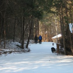 Firefly Acres - Cabin lane