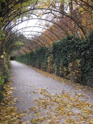 Mirabellgarden by null