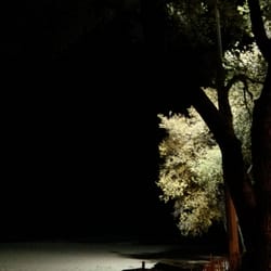 At evening.