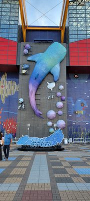 Osaka Aquarium Kaiyukan by null