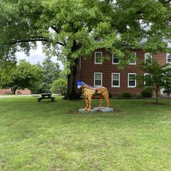 Bellewood Gallopalooza Horse