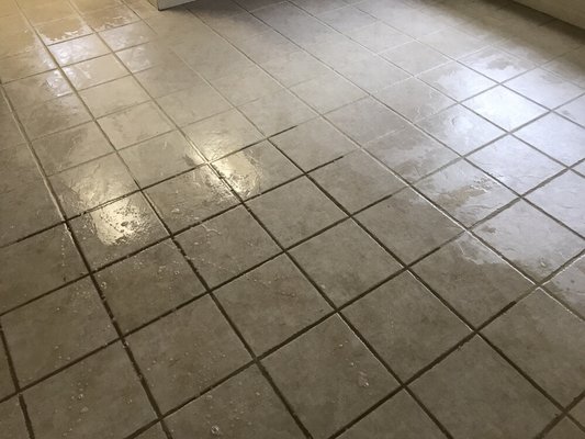 Tile & Grout Cleaning - At Safari we have the right grout cleaning solution for you no matter what you are looking for us to do. Your tile and grout are a focal point no matter what room you may be in. If your floor looks impeccable but the grout in between is black, no one is going to be able to look past that.

We take our time to provide you with a high-quality solution so your floors look and feel outstanding. We know all different types of tile, so no matter what surface yours may be, we have the right tile and grout cleaning solution for you.

In fact, you can maintain the floors in your entire property with services from Safari Carpet Cleaning. Call today for free estimate - (661) 330-8463