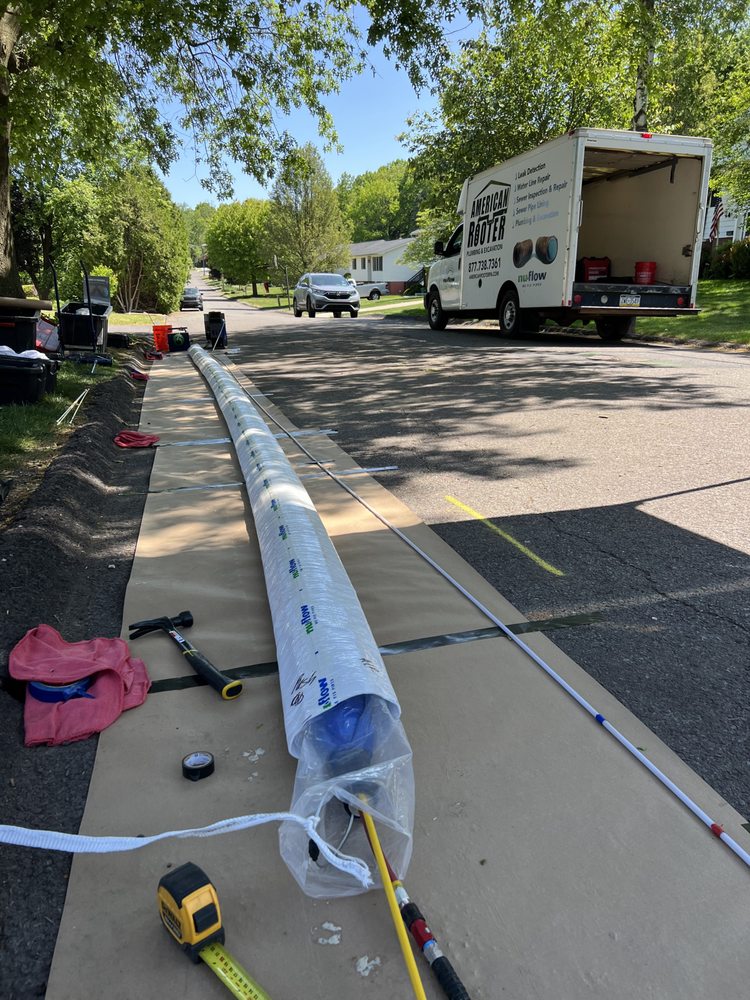 Slide of American Rooter