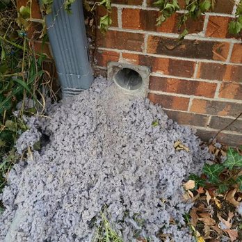 The Dryer Vent Dude - Air Duct Cleaning Near Me - Lincoln, Nebraska The Dryer Vent Dude - Air Duct Cleaning Near Me - Lincoln, Nebraska