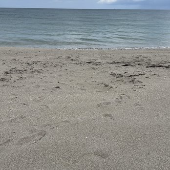 Walton Rocks Beach - Dog Parks Near Me - Jensen Beach, Florida Walton Rocks Beach - Dog Parks Near Me - Jensen Beach, Florida